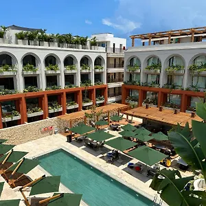 Osh ***** Cartagena